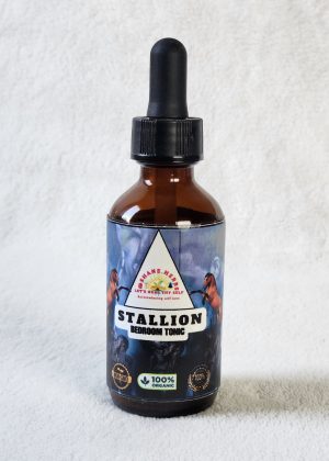 Stallion