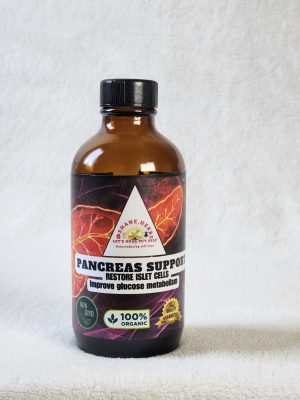 Pancreas Support